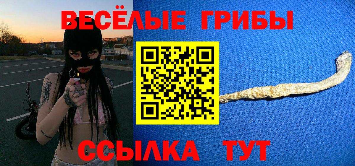 Псилоцибиновые грибы прущие грибы Тихвин